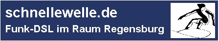 schnellewelle.de